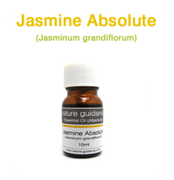 ジャスミン・アブソリュート・グランディフローラム種（インド産）/アロマオイルAbs 10ml
