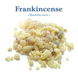 フランキンセンス・オマーン(Boswellia sacra)（乳香） 500g