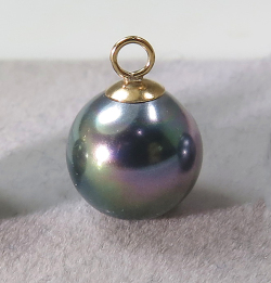 貝パール ペンダント チャーム ブラックピーコック 国産 10mmラウンド 14KGF「ゴールドフィルド」1個