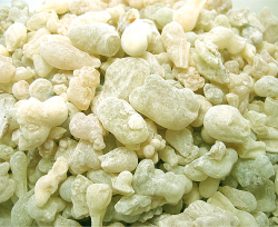 フランキンセンス・オマーン（プレミアム）(Boswellia sacra)（乳香） 250g