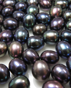淡水パール 真珠 ライス エッグ ブラックピーコック（6～7mm）穴無（100個）