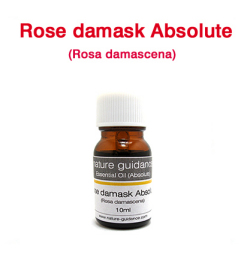 ローズダマスク・アブソリュート （ロシア産 ダマスクローズ、Rosa damascena）/10ml