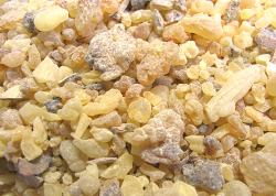 フランキンセンス・イエメン(Boswellia sacra)（イエメン乳香） 250g