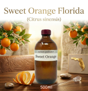 スイートオレンジ アロマオイル 精油（アメリカ・フロリダ州産 バレンシアオレンジ、Citrus sinensis）/精油500ml