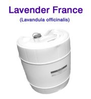 ラベンダー アロマオイル 精油（フランス産・真正ラベンダー・イングリッシュラベンダー、Lavandula officinalis）/25lbs（約11kg）【ポイント対象外商品】