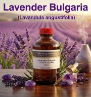 ラベンダー ブルガリア産 アロマオイル (Lavandula angustifolia) 精油 エッセンシャルオイル 250ml
