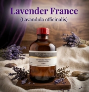 ラベンダー アロマオイル 精油（フランス産・真正ラベンダー・イングリッシュラベンダー、Lavandula officinalis）/250ml