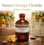 スイートオレンジ アロマオイル 精油（アメリカ・フロリダ州産 バレンシアオレンジ、Citrus sinensis）/精油250ml