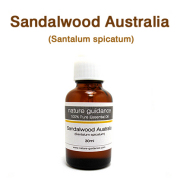 オーストラリアンサンダルウッド（オーストラリア産 白檀、Santalum spicatum）/精油30ml