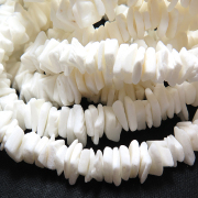 シェルチップビーズ 貝殻 ホワイト 40センチ（1本）