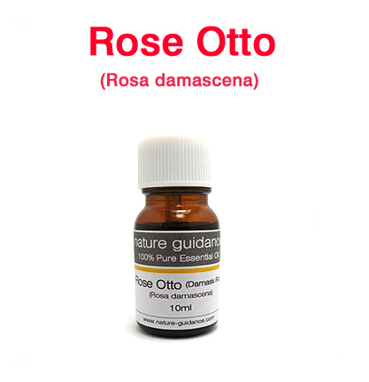 ローズオットー・ダマスクローズ（ロシア産 ローズダマスク、Rosa damascena）/10ml