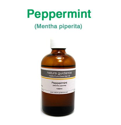 ペパーミント（ワシントン州ヤキマ産 西洋薄荷・セイヨウハッカ、Mentha piperita）/精油100ml