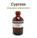 サイプレス（スペイン産 糸杉・イトスギ、Cupressus sempervirens）/精油250ml