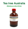 ティーツリー（オーストラリア産 ティートゥリー・ティートリー、Melaleuca alternifolia）/精油250ml