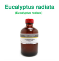 ユーカリ・ラディアータ種（オーストラリア産 ユーカリラジアータ・ユーカリプタス・ラジアタ、Eucalyptus radiata）/精油250ml