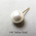 貝パールピアス（国産貝ミガキパール）/ラウンド8mm/14K（14金イエローゴールド）（1ペア）