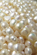 バロックパール ビーズ 淡水真珠（ホワイト系）7～8mm（1連）