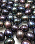 淡水パール 真珠 ライス エッグ ブラックピーコック（6～7mm）穴無（30個）