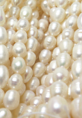 淡水パールライス 真珠 ビーズ（ホワイト系）7～8mm玉（1連）