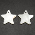 シェル スター 星 ディスク 貝殻　チャーム アクセサリー （25mm）1ホール（25個）