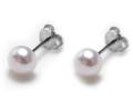 淡水パールピアス 真珠 シルバーSV925（ホワイト系）（ボタン6～6.5mm） キャッチ付（1ペア）