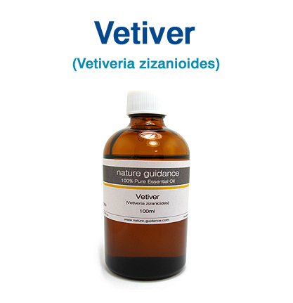 ベチバー（インドネシア産 岩蘭草・ベチベルソウ・カスカスガヤ、Vetiveria zizanioides）/精油100ml