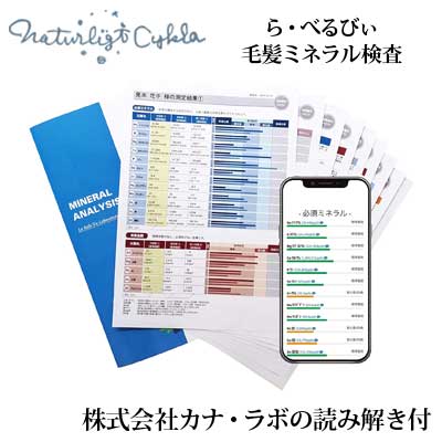 ら・べるびぃ予防医学研究所 毛髪ミネラル検査（読み解き解説付き）　【らべるびい・有害ミネラル・カナラボ】【メール便】