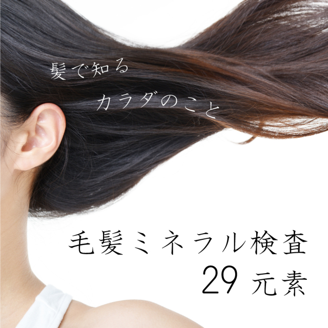 ら・べるびぃ予防医学研究所 毛髪ミネラル検査