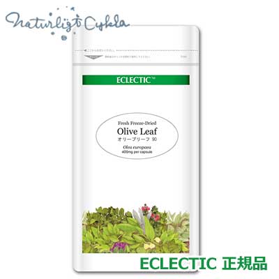 オリーブリーフ