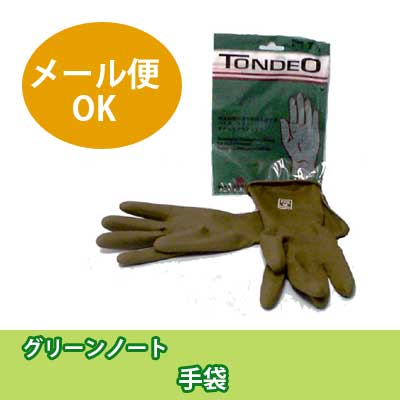 グリーンノート(GREENNOTE) ヘナ　白髪染め用 手袋