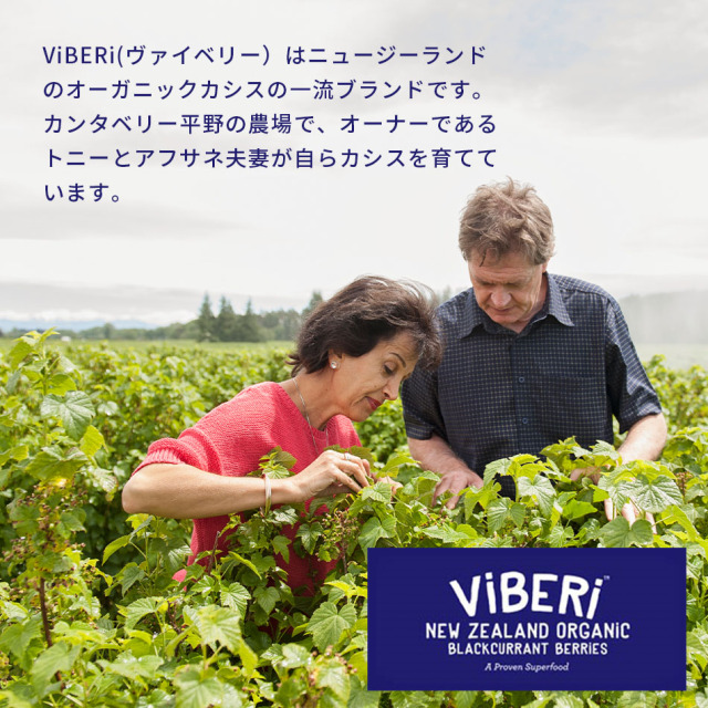 有機JAS カシスパウダー 200g ヴァイベリー(ViBERi) カズレーザー 活性酸素 ニュージーランド ビベリ