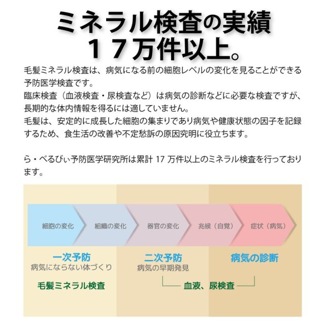 ら・べるびぃ予防医学研究所 毛髪ミネラル検査