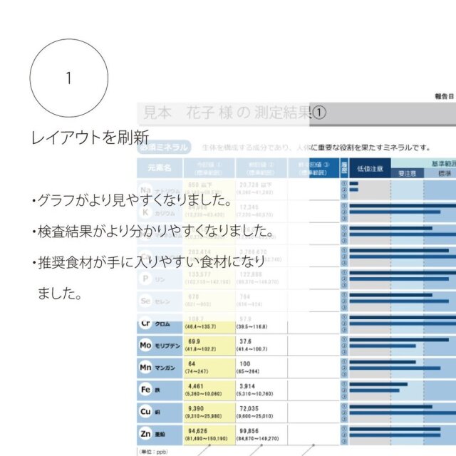 ら・べるびぃ予防医学研究所 毛髪ミネラル検査