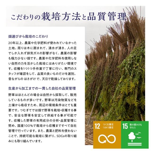 草々(SOU SOU) バスソルト ゴールデンロッド 1000g 【マグネシウム 世界初 植物エキス 計量スプーン付 塩素除去 美容 化粧品 雑草 セイタカアワダチソウ エプソムソルト】