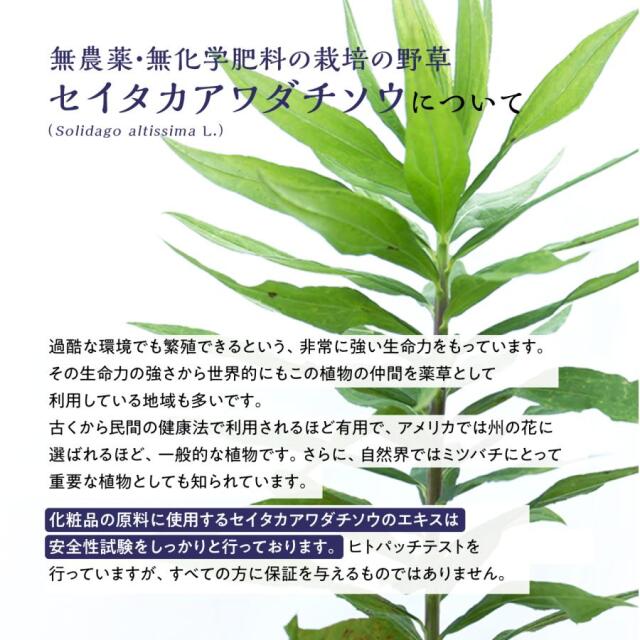 草々(SOU SOU) バスソルト ゴールデンロッド 1000g 【マグネシウム 世界初 植物エキス 計量スプーン付 塩素除去 美容 化粧品 雑草 セイタカアワダチソウ エプソムソルト】