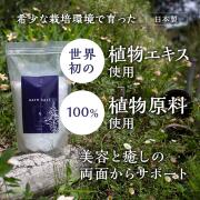 草々（SOU SOU）　バスソルト ゴールデンロッド 1000ｇ　【マグネシウム 世界初 植物エキス 計量スプーン付 塩素除去 美容 化粧品 雑草 セイタカアワダチソウ エプソムソルト】