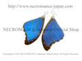 【ネクロマンス NECROMANCE】リアルバタフライウィングピアス Real Butterfly Wing Pierce ＜メネラウスモルフォ 前翅＞ 蝶々 羽