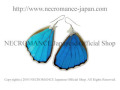 【ネクロマンス NECROMANCE】リアルバタフライウィングピアス Real Butterfly Wing Pierce ＜メネラウスモルフォ 後翅＞ 蝶々 羽