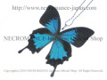 【ネクロマンス NECROMANCE】リアルバタフライウィングネックレス Real Butterfly Wing Necklace ＜オオルリアゲハ＞ 蝶々 羽