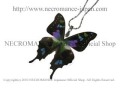 【ネクロマンス NECROMANCE】リアルバタフライウィングネックレス Real Butterfly Wing Necklace ＜ミイロタイマイ＞ 蝶々 羽