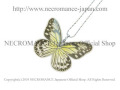 【ネクロマンス NECROMANCE】リアルバタフライウィングネックレス Real Butterfly Wing Necklace ＜ヒメゴマダラ＞ 蝶々 羽