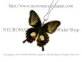 【ネクロマンス NECROMANCE】リアルバタフライウィングネックレス Real Butterfly Wing Necklace ＜シロオビアゲハ＞ 蝶々 羽