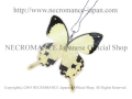 【ネクロマンス NECROMANCE】リアルバタフライウィングネックレス Real Butterfly Wing Necklace ＜オスジロアゲハ＞ 蝶々 羽