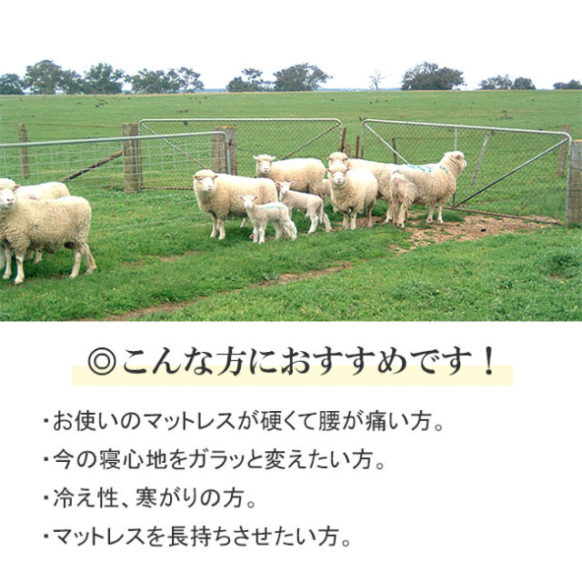 【2枚組】期間限定　高級　FL10 西川牧場羊毛敷きパッド 西川牧場FITLABOフィットラボ「厚手羊毛ベッドパッド」シングル