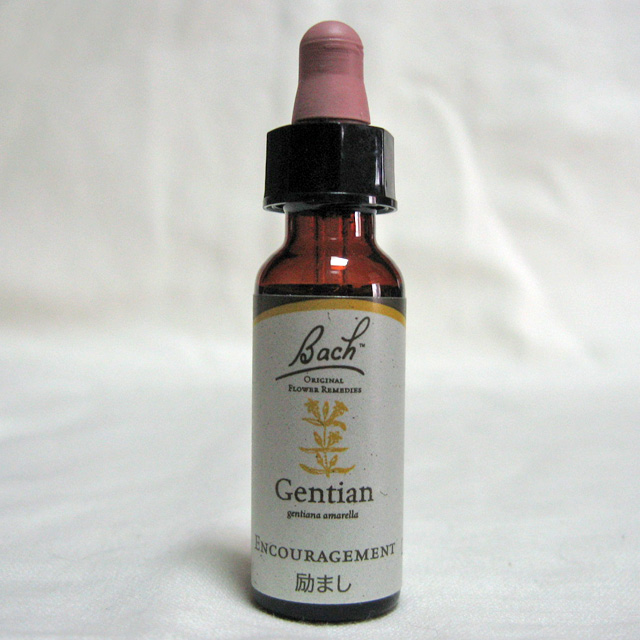 ゲンチアナ　バッチフラワーレメディ