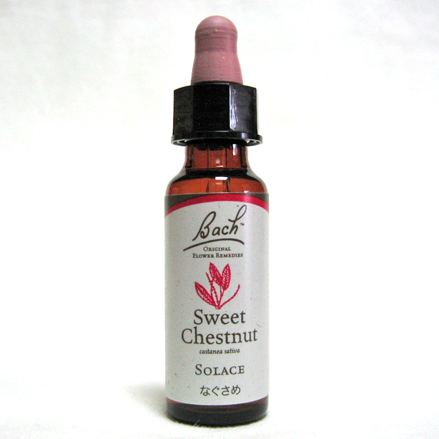 スウィートチェストナット　猫のバッチフラワーレメディ