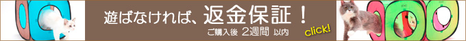 キャットプレイキューブ　返金キャンペーン　SPOREPET