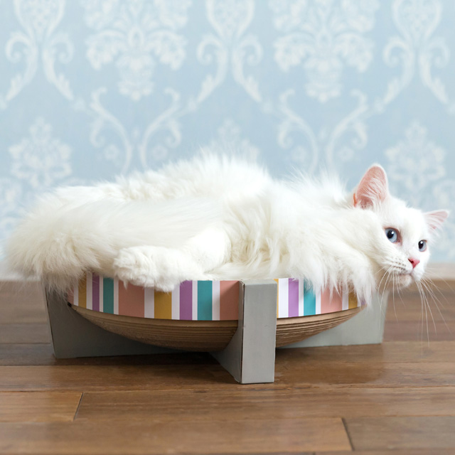 猫と可愛いつめとぎ