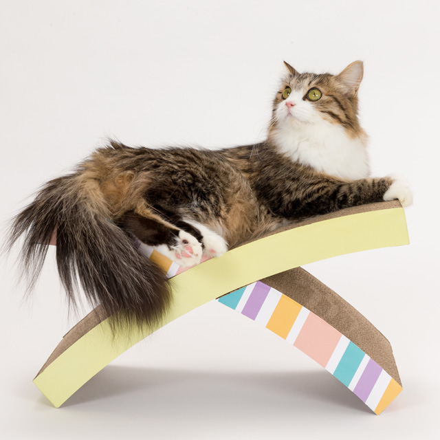 猫とお洒落なつめとぎ