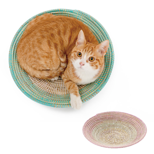 猫のい草ベッド